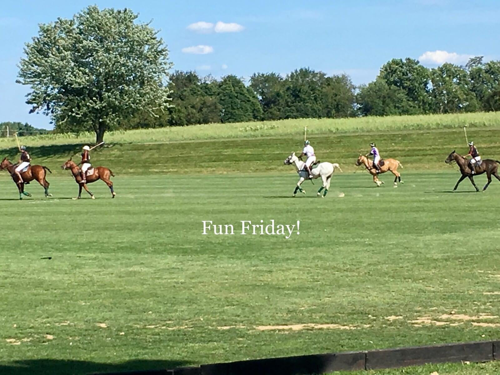 Fun Friday...Something New...Polo!