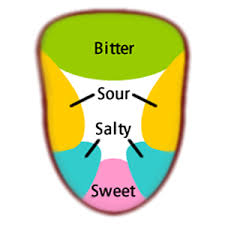 Tongue taste map - Alternate Memories