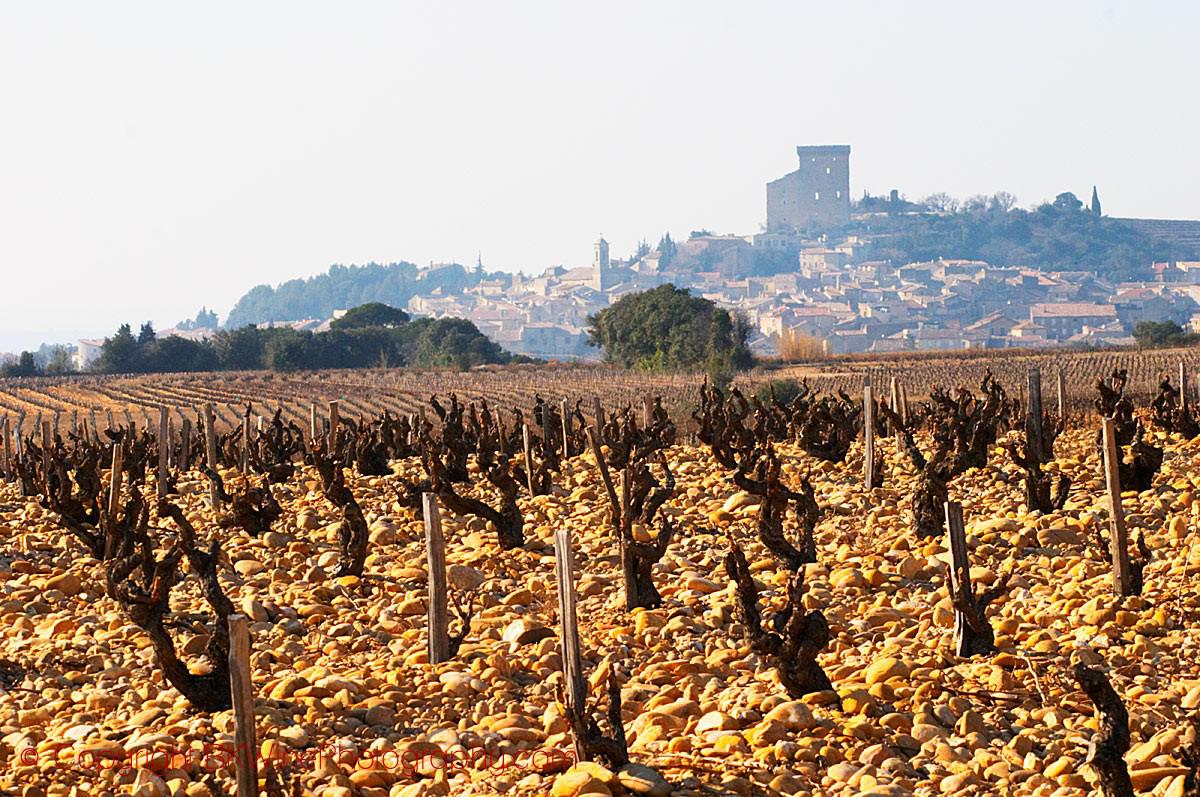 Châteauneuf-du-Pape: The Regal from Rhône